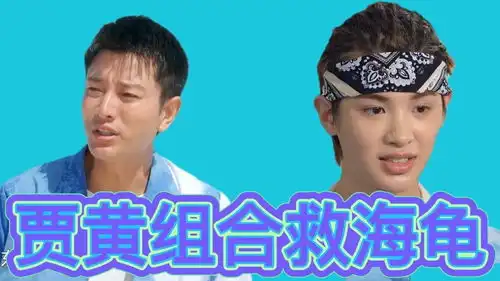 极限挑战8贾黄组合潜水救海龟,黄明昊表情紧张,贾乃亮上演大哥范十足
