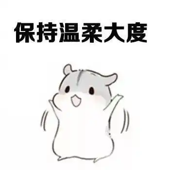 仓鼠表情包女生就应该这样
