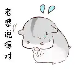小仓鼠的爱老婆表情包
