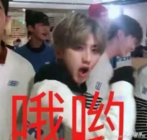 表情包
