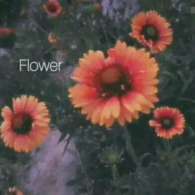 花草头像图片大全真实女人的花草招财头像
