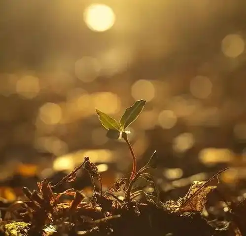 开一扇晴窗,迎一米阳光
