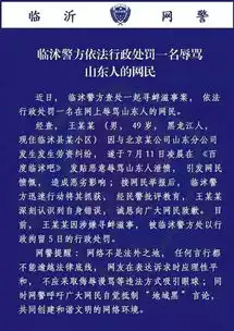 大快人心一男子在临沭贴吧里大骂山东人,被拘了
