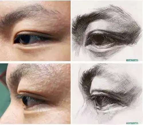 干货素描五官详细剖析
