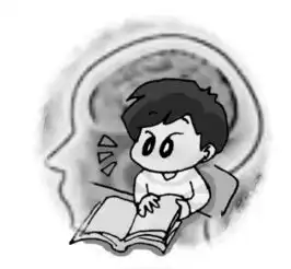 大考临近补脑保健品热销专家称盲目补脑有损健康
