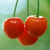 女人30岁风景微信头像微信头像图片大全
