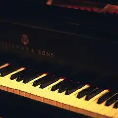 希望2000跨世纪经典陈慧琳
