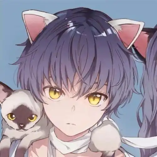 这段追向你的路我跑了一生
