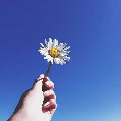现实扎心的人生感悟句子,读完让人豁然开朗
