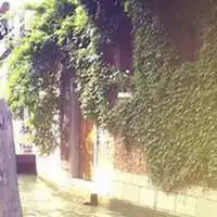 搞怪创意头像宠物微信头像图片大全
