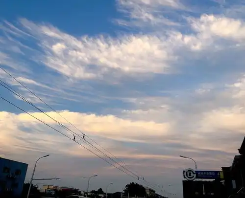 好玄学,学领导用蓝天白云的头像运势逆转了太灵...
