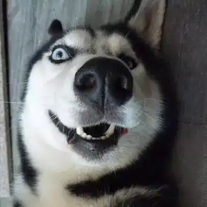 泡面调料包破损,福州男子索赔千元大逆转来了
