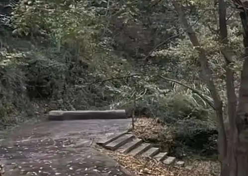 21岁晨跑女孩朱甜甜遇害,母亲还原真相,随后为何选择删除内容
