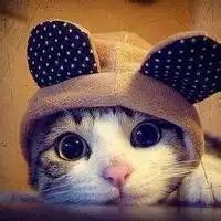 君生我未生字君
