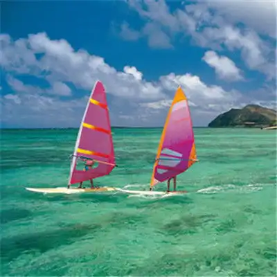 2018年吉利招财的头像风景大全2018招财吉祥好运图像植物
