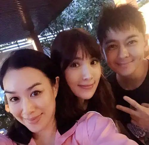 钟丽缇带考拉两姐妹做客林志颖家,kimmy长成大小伙
