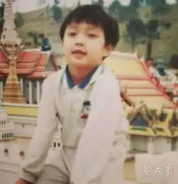 张艺兴欢欢不骗奶奶欢欢是奶奶的心头肉是什么电视剧
