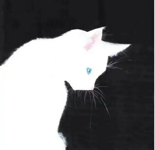 找一张图片,是这个图片的情头,白猫的
