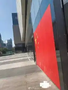 用国旗做头像违法网友我方了,律师说

