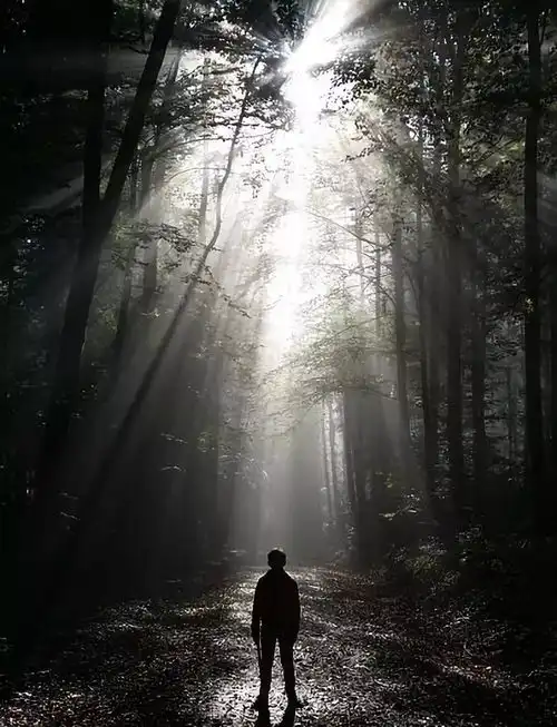 湖南女孩峨眉山顶跳崖人生实苦,愿你善待自己
