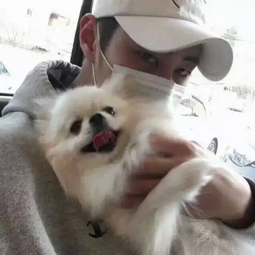 女生抱宠丨被爱的人永远不知道,爱你的人有多么辛苦
