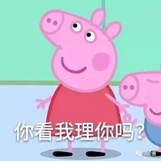 外国大叔在天津中文狂骂乞讨者,英国人怎么看待homeless
