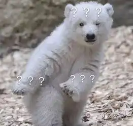 我终于明白了鸡叫原来是男女通用的技能
