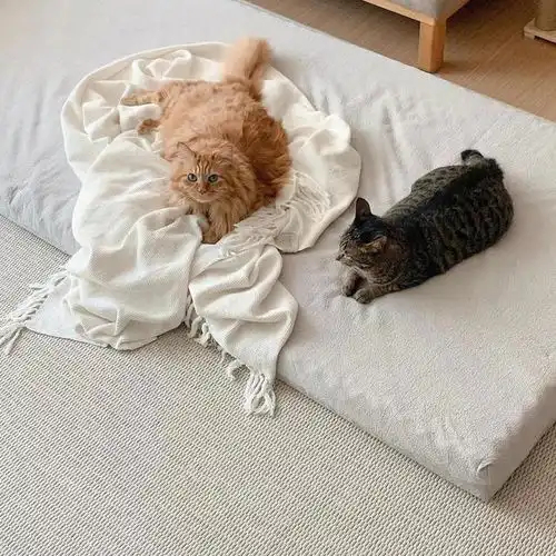 一个人的精致生活126平让她布置得温暖治愈,住多久都不会腻
