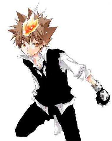 谁有家教里纲的帅图最好还有做头像的
