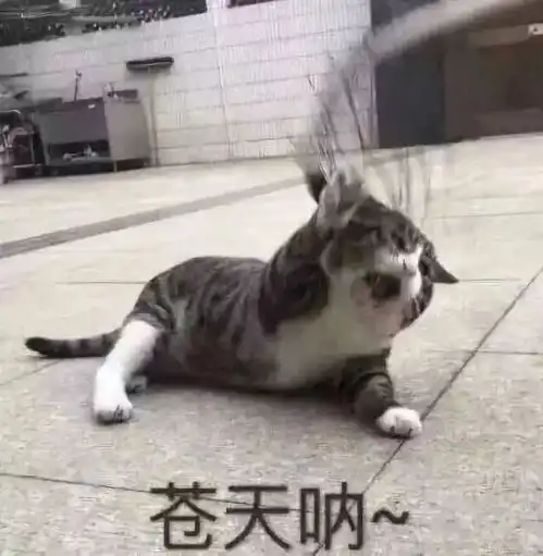 笑喷男孩被作业虐哭,遭妹妹神补刀后发出灵魂深处的呐喊哪里简单啊
