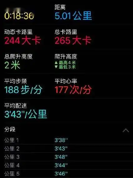 跑步达人有哪些运动固定搭配

