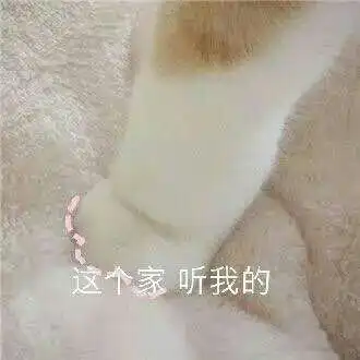 女生专用表情包
