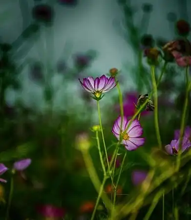 时来运转,横财连发,3月3号开始,万事一顺百顺的5大生肖

