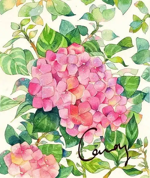 用画画记录生活吧,一起画画水彩吧
