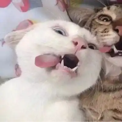 我在人间贩卖黄昏只为收集世间情侣头像我要个性网
