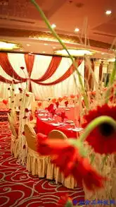 俗话说女人如老虎,看看12星座女被惹火后的景象
