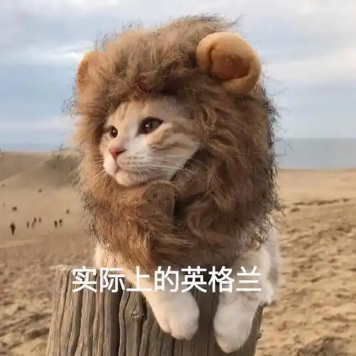 不吐不快最无聊比赛日场内不够,场外来凑
