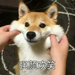 狮子座男生和摩羯座女生在一起合适吗
