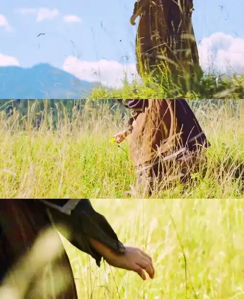 分享一波壁纸,炒鸡春天炒鸡少女心
