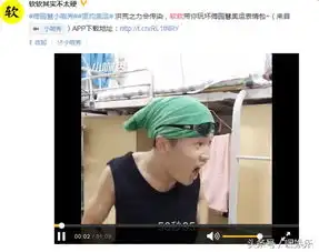 傅园慧洪荒之力明星模仿秀贾乃亮最像沈腾最逗逼
