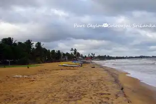 已完结两个狮子座女生,两台单反,毕业旅行,七天顺时针游兰卡
