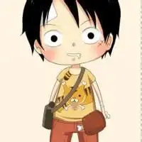 逗比的海贼图片微信头像图片大全
