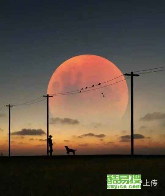 苏州酷易搜
