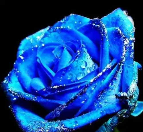 属蛇人,5月份逃不过的命运早看早准备
