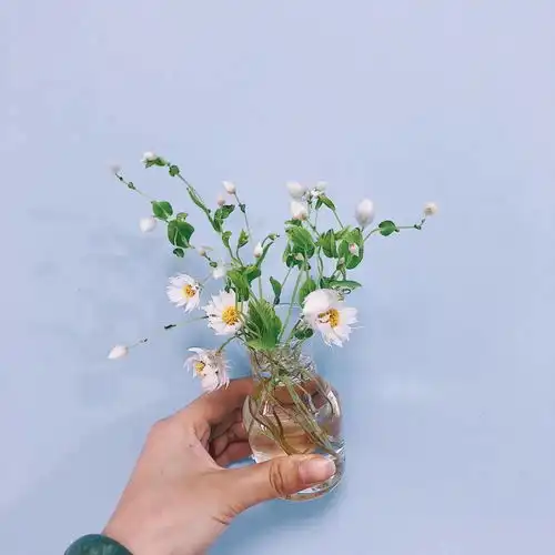 口德决定命运,聪明人绝不说这10种话
