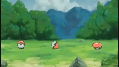 妙蛙种子小火龙杰尼龟
