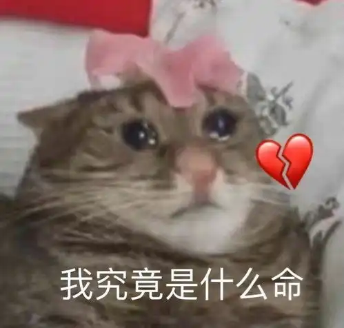 有哪些朋友圈文案沙雕到让人一看就想给你发信息的
