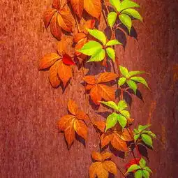 男士爬山微信图片微信头像图片大全
