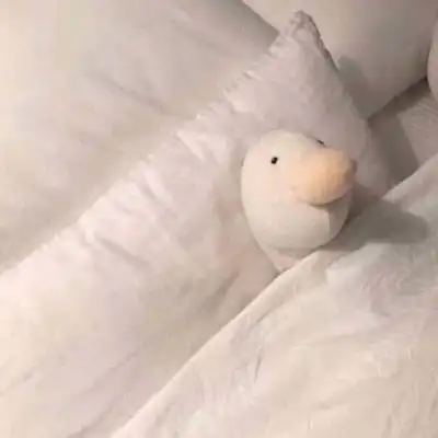 可爱萌物头像图片布娃娃抱抱熊
