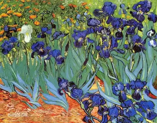 植物手绘笔记鸢尾二三事丨花花万物
